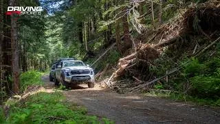 Thumbnail: Discovering the Olympic Peninsula Overland Loop