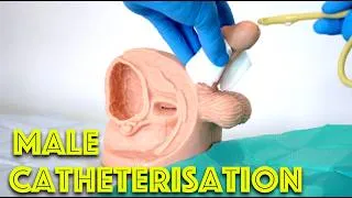 Thumbnail: Male Catheter Insertion OSCE - Clinical Skills - Dr Gill