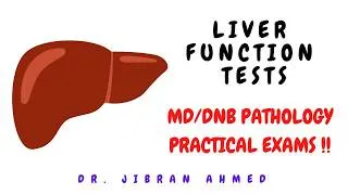 Thumbnail: LIVER FUNCTION TEST II JAUNDICE II SIMPLY PATHOLOGY II MD/DNB PATHOLOGY