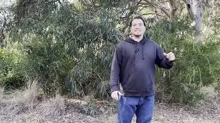 Thumbnail: The Model Prayer (Session 10): Forgive Us | Year on the Mountaintop