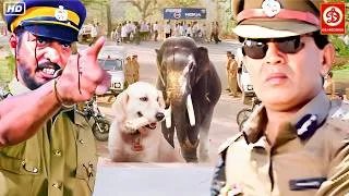 Thumbnail: मिथुन चक्रवर्ती और नाना पाटेकर की ब्लॉकबस्टर हिंदी मूवी नीलम, शत्रुघ्न सिन्हा, अनीता राज, सुनील दत्त