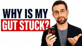 Thumbnail: Why Your Gut Health Protocol Keeps Failing (It's Not Your Gut)