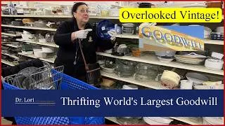 Thumbnail: Overlooked Vintage! Thrifting at Biggest Goodwill Store in the World with Dr. Lori