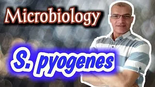 Thumbnail: Streptococcus pyogenes: Characteristics, Classification, Antigenic structure, Toxins & Enzymes