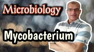 Thumbnail: Mycobacterium: Characteristics, Types, and Pathogenesis