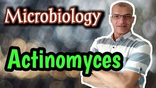 Thumbnail: Actinomyces: Characteristics, Pathology and Treatment