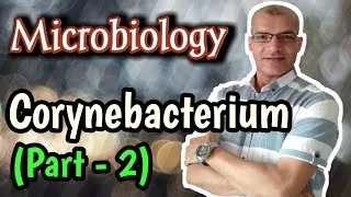 Thumbnail: Corynebacterium diphtheriae: Lab Diagnosis, Treatment, and Prophylaxis