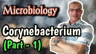 Thumbnail: Corynebacterium diphtheriae: Morphology, Diphtheria Toxin and Pathogenesis