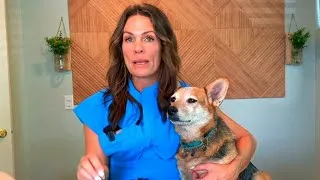 Thumbnail: My dog needed help, Spot and Tango helped 🥹
