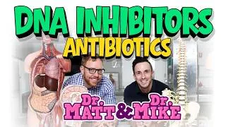 Thumbnail: DNA Inhibitors (Antibiotics) | Podcast
