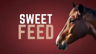 Thumbnail: Sweet Feed for Horses