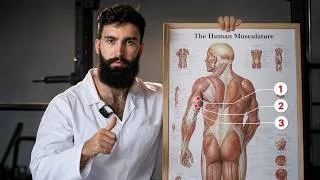 Thumbnail: 5 Forearm Exercises That Actually Work (Science Explained)