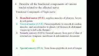 Thumbnail: Clinical Anatomy scenario-based problem solving cases: Head & Neck-5 - By Dr Mitesh Dave