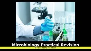 Thumbnail: Microbiology Practical Revision Part 1 of 2 - محاضرة ميكرو عملي مراجعه