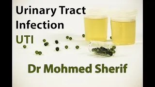 Thumbnail: Urinary tract infection (UTI) - التهاب الجهاز البولي