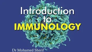 Thumbnail: Introduction to Immunology (Updated 2021)