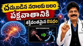 Thumbnail: చచ్చుబడిన నరాలకు బలం,పక్షవాతానికి శక్తివంతమైన ఔషధం | Strengthen Weak Nerves! Remedy for Paralysis