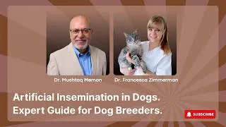 Thumbnail: Artificial Insemination in Dogs: What Every Breeder Should Know | Fresh, Chilled & Frozen Semen