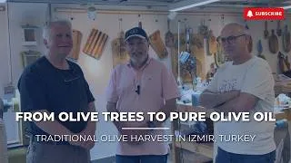Thumbnail: Olive Oil Production in Izmir, Turkey | From Tree to Bottle