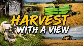 Thumbnail: Mystery illness and A Harvest with a view 🌾 
