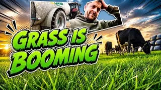 Thumbnail: 52mm of Rain in one day🌧️Grass is Blooming☘️ and Tractor run