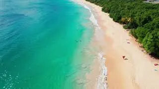 Thumbnail: Best Beaches🌴Caribbean Martinique 📍  Grande Anse des Salines 🎵 Deep House - Drone 4K (RF)