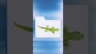 Thumbnail: Reimagining a Dropbox folder into sand art.