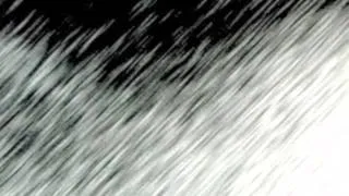 Thumbnail: Derive 1 by Pierre Boulez (Remix/Single Edit) (12-Tone Total Serialism Pop)