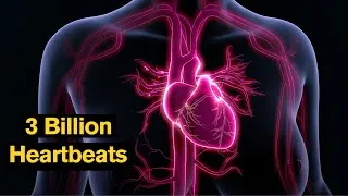 Thumbnail: Is Your Heart The Strongest Superhero In Your Body?
