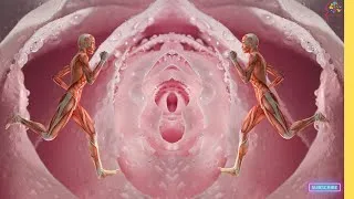 Thumbnail: Female Reproductive System Explained | 3D Animation #fertilization #ova #dna
