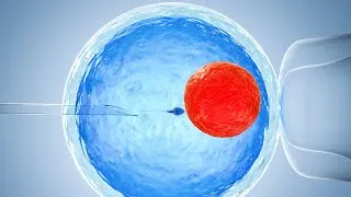 Thumbnail: In Vitro Fertilization (IVF)| 3D Animation Explained #fertilization #ivf #birth