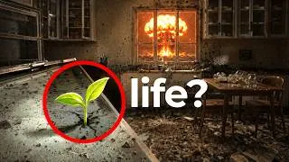 Thumbnail: 100 Days After the Apocalypse, This Happened