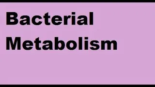 Thumbnail: Bacterial metabolism