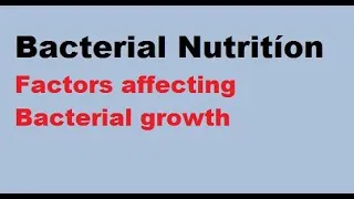 Thumbnail: Bacterial Nutrition