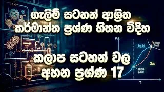 Thumbnail: MCQ සහ රචනා ප්‍රශ්ණ විවරණය 