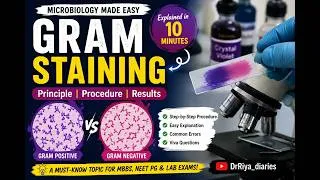Thumbnail: Gram Staining Made Easy | Principle,Procedure & Results #shortvideo #microbiology #laboratory #mbbs
