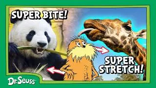 Thumbnail: Animal Superpowers Explained! | Lorax Nature Club | Full Episode | Dr. Seuss