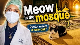 Thumbnail: You've Never seen a Cat like this! #cat #mosque #Turkish 