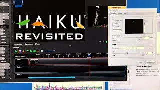 Thumbnail: Can you use Haiku as a daily driver?