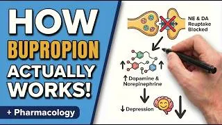 Thumbnail: Bupropion in 12 Minutes: Mechanism, Dosing, Side Effects & Clinical Pearls