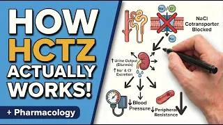 Thumbnail: Hydrochlorothiazide in 14 Minutes: Mechanism, Dosing, Side Effects & Clinical Pearls