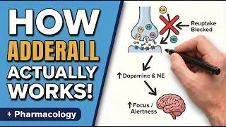 Thumbnail: Adderall in 15 Minutes: Mechanism, Dosing, Side Effects & Clinical Pearls