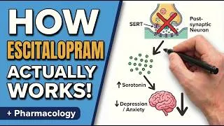 Thumbnail: Escitalopram (Lexapro) in 14 Minutes: Mechanism, Dosing, Side Effects & Clinical Pearls