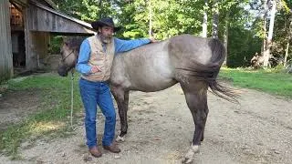 Thumbnail: Picking Up and Cleaning You Horse's Hooves