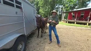 Thumbnail: The Myth of the Mustang