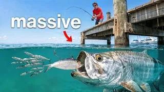 Thumbnail: I Tested if Tiny Docks Have Monster Fish!