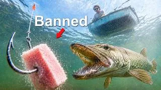 Thumbnail: Every Fish I Catch My Bait Gets More Illegal!