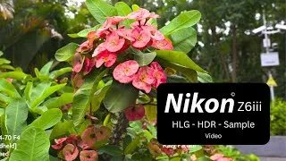 Thumbnail: Nikon Z6iii HLG HDR Video Sample - 4K 120fps, 4K 60fps
