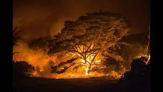 Thumbnail: A Minute + In Wild Fires