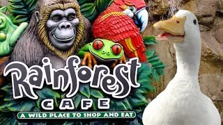 Thumbnail: I took my duck to Rainforest Cafe 🐸